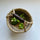 Seaweed hand woven basket imported from Vietnam, African elements, Instagram style decoration, grocery shopping, picnic handbag