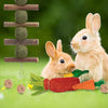 16Pcs Rabbit Chew Toys Set For Small Animal Teeth Care And Exercise Natural Wood