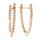 Classic Fashionable Rose Gold Inlaid Shiny Zircon Earrings - Luxeventshub