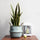 Boho Decor Striped Wicker Storage Baskets Handmade Collapsible Laundry Basket Patchwork Seaweed Flower Belly Garden Flower Pot - Luxeventshub