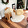 Luxury 5-Piece Bath Spa Set in Heart-Shaped Gift Box - Exfoliating Shower Scrubber, Loofah Sponge & Bath Bomb - Ideal for Christ - Luxeventshub
