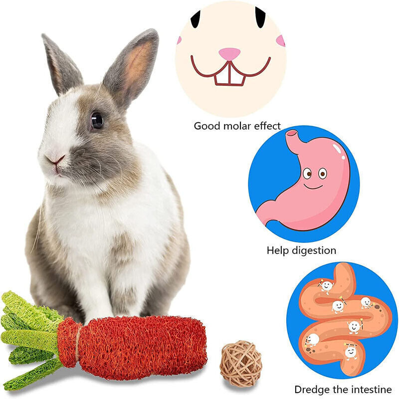 16Pcs Rabbit Chew Toys Set For Small Animal Teeth Care And Exercise Natural Wood